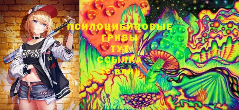 купить  сайты  Энем  Псилоцибиновые грибы Psilocybine cubensis 