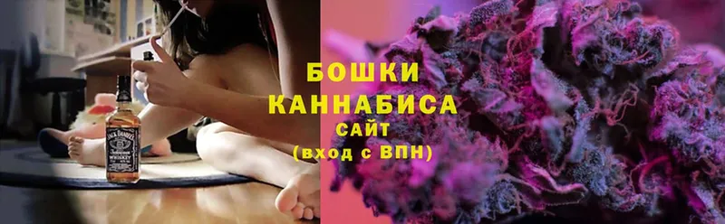 где можно купить   Энем  Канабис индика 